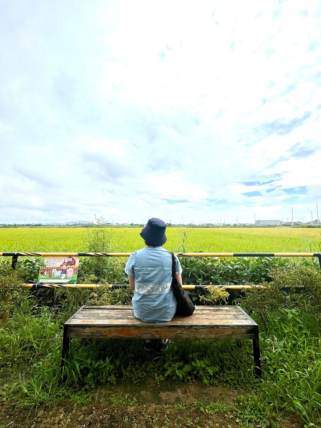 논뷰에 푹빠진 중년여성