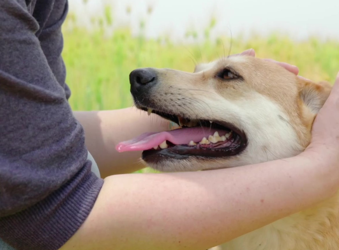 2022 소규모농촌체험_평택 초록미소마을(최종) 023 (2)