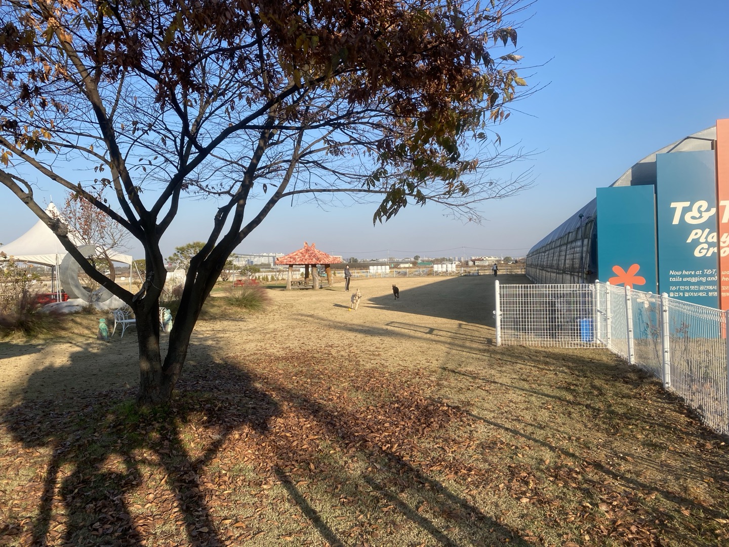 KakaoTalk_20241122_154957100_02