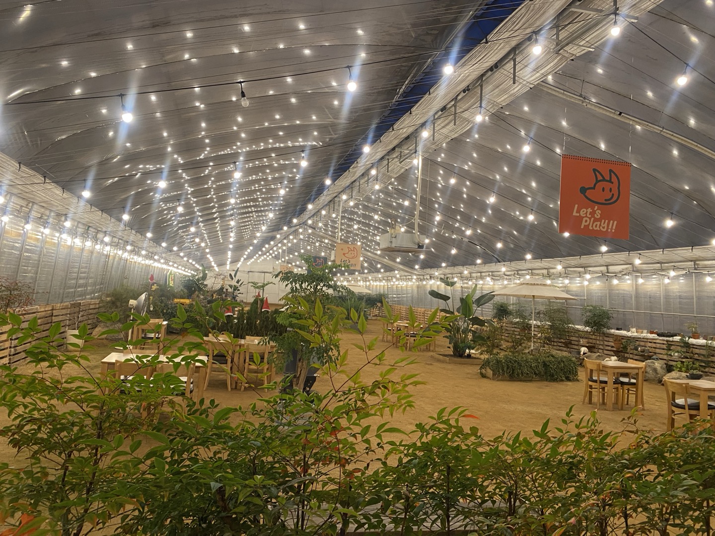 KakaoTalk_20241212_181737005_11